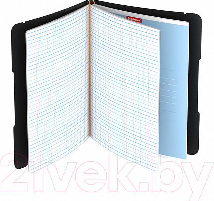 Изображение товара Тетрадь Erich Krause FolderBook Accent / 51436 (оранжевый)