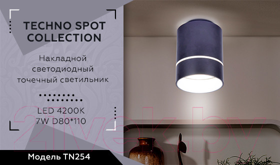 Изображение товара Точечный светильник Ambrella TN254 SBB