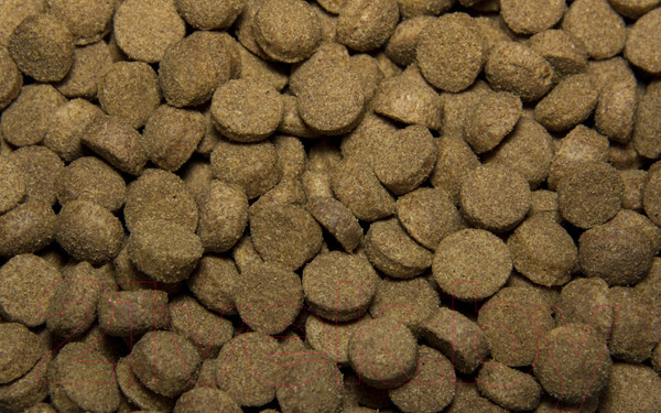Изображение товара Сухой корм для собак All Dogs Полнорационный с говядиной и овощами (20кг)