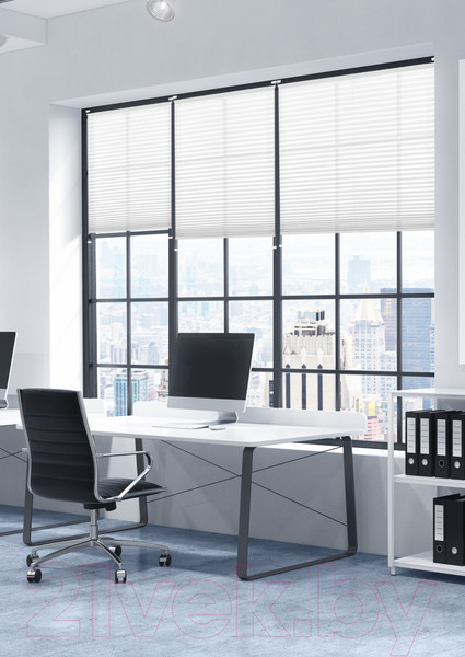 Изображение товара Штора-плиссе Эскар Crepe 65x170 / 140401065 (белый)