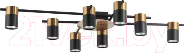 Изображение товара Люстра FAVOURITE Topper 2825-8P