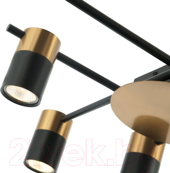 Изображение товара Люстра FAVOURITE Topper 2825-8P