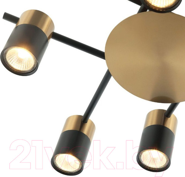 Изображение товара Люстра FAVOURITE Topper 2825-8P