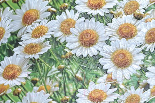 Изображение товара Панель ПВХ Grace Усиленная Ромашки (602x1002x5мм)