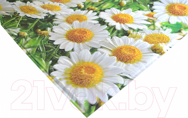 Изображение товара Панель ПВХ Grace Усиленная Ромашки (602x1002x5мм)