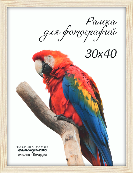 Изображение товара Рамка ПАЛИТРА Д18КЛ/1374 30x40 (молочно-белый)