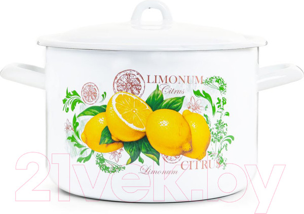 Изображение товара Кастрюля ЭСТЕТ Цитрус / ЭТ-72903