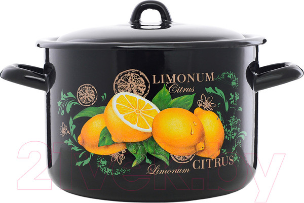 Изображение товара Кастрюля ЭСТЕТ Цитрус / ЭТ-72903