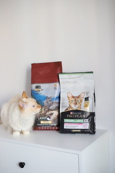 Изображение товара Сухой корм для кошек Landor Полнорационный, с чувств. пищеварением ягненок с рисом / 7843112 (2кг)