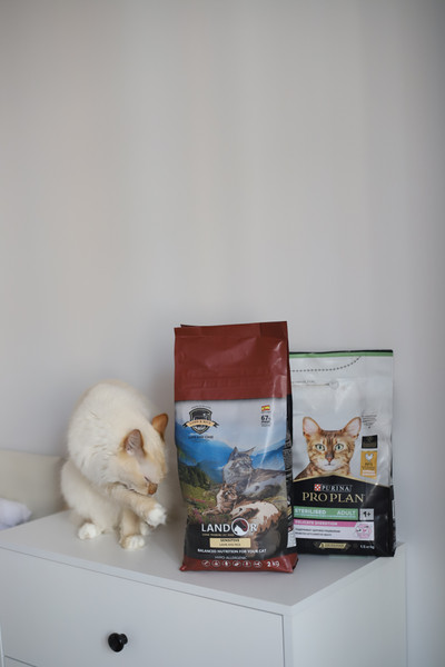 Изображение товара Сухой корм для кошек Landor Полнорационный, с чувств. пищеварением ягненок с рисом / 7843112 (2кг)