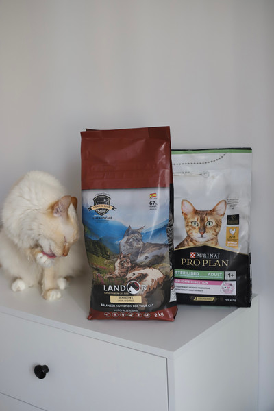 Изображение товара Сухой корм для кошек Landor Полнорационный, с чувств. пищеварением ягненок с рисом / 7843112 (2кг)