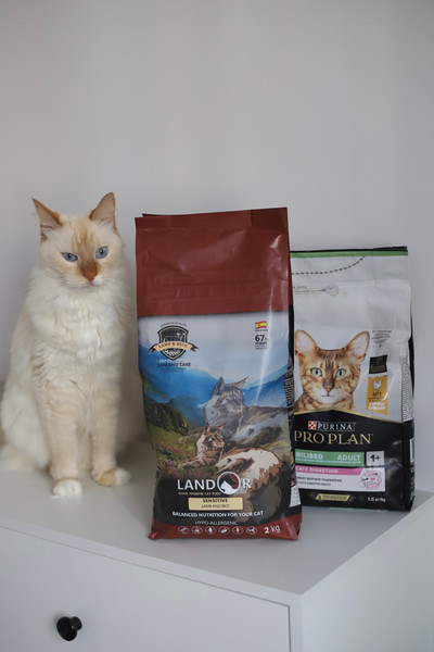 Изображение товара Сухой корм для кошек Landor Полнорационный, с чувств. пищеварением ягненок с рисом / 7843112 (2кг)