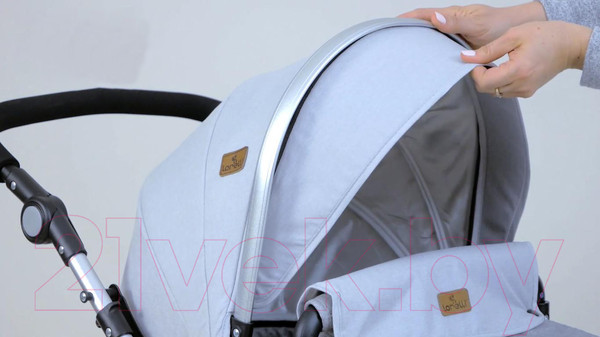 Изображение товара Детская универсальная коляска Lorelli Lora 2 в 1 Luxe Red Elephants / 10021272187