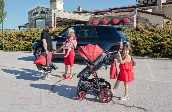 Изображение товара Детская универсальная коляска Lorelli Lora 2 в 1 Luxe Red Elephants / 10021272187