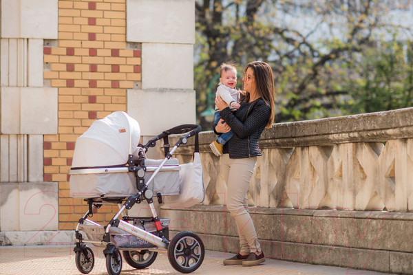 Изображение товара Детская универсальная коляска Lorelli Lora 2 в 1 Luxe Red Elephants / 10021272187