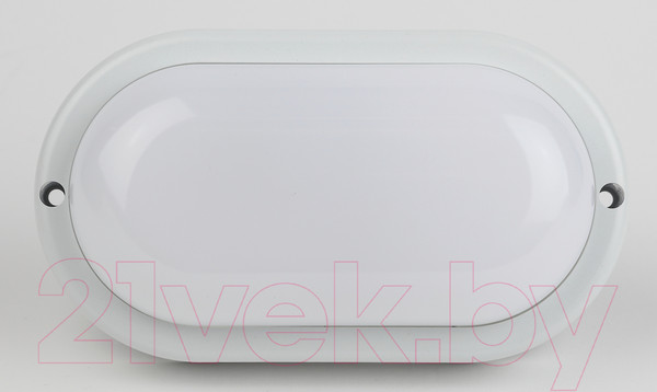 Изображение товара Светильник ЖКХ ЭРА SPB-202-0-40K-008 / Б0047617