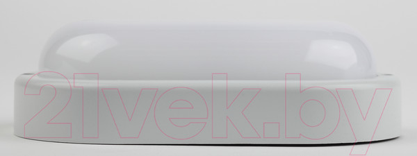 Изображение товара Светильник ЖКХ ЭРА SPB-202-0-40K-008 / Б0047617