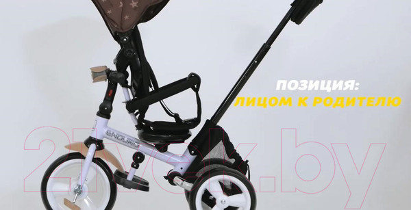 Изображение товара Трехколесный велосипед с ручкой Lorelli Enduro Eva Grey Luxe / 10050412102