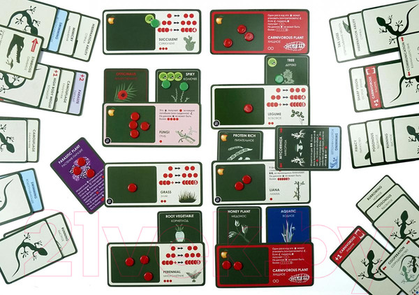 Изображение товара Дополнение к настольной игре Правильные Игры Эволюция. Растения / 13-01-06