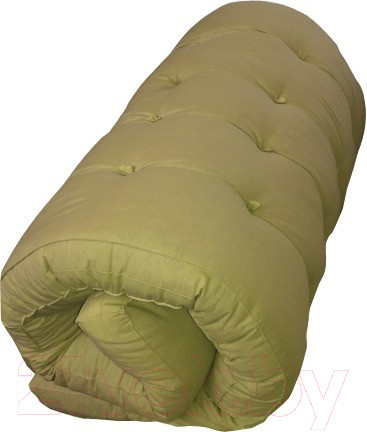 Изображение товара Тюфяк Антопольская ВПФ 170x186x10 / 19с38-319