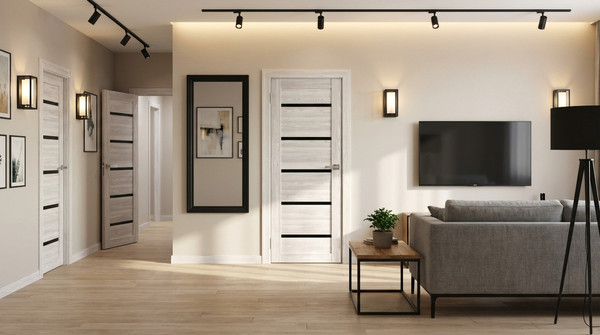 Изображение товара Дверь межкомнатная Юни Амати 01М 60x200 (черное стекло/сканди классик)