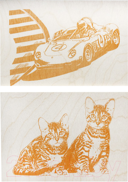 Изображение товара Набор досок для выжигания Десятое королевство Мастер / 01725