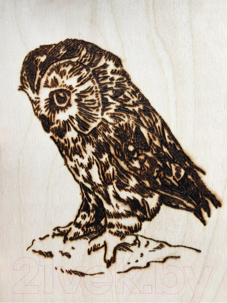 Изображение товара Набор досок для выжигания Десятое королевство Мастер / 01725