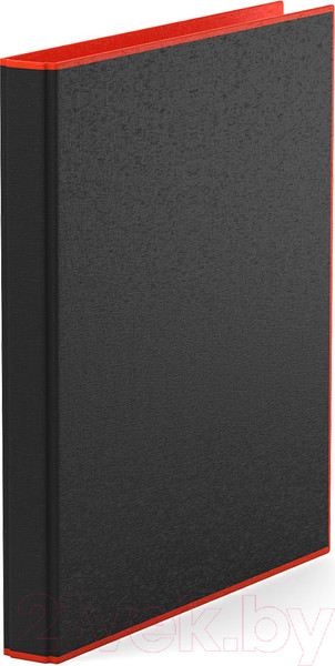 Изображение товара Папка для бумаг Erich Krause Accent / 51082 (красный)