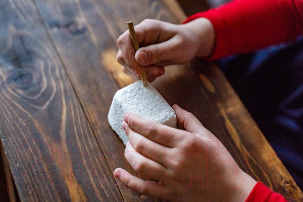 Изображение товара Набор для опытов Раскопки Дикий мир. Мини / DIG-41