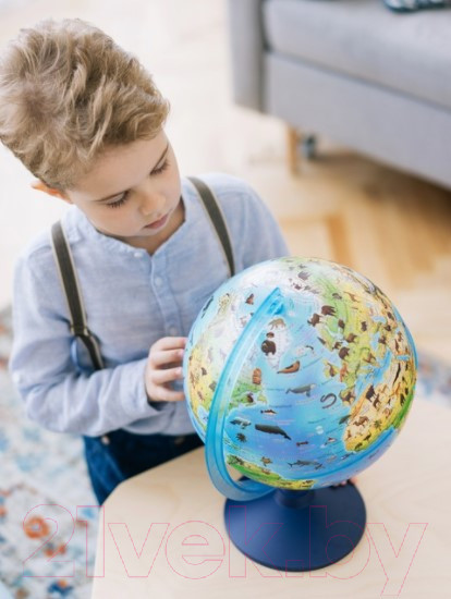 Изображение товара Глобус интерактивный Globen Зоогеографический с подсветкой / INT12100296