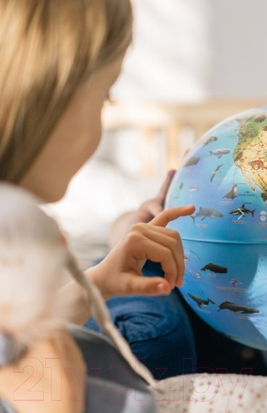 Изображение товара Глобус интерактивный Globen Зоогеографический с подсветкой / INT12100296