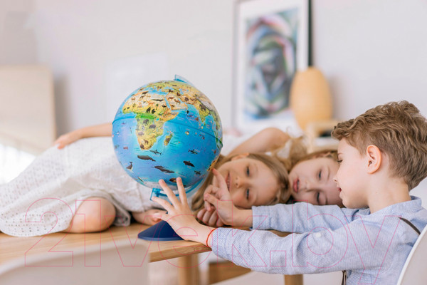 Изображение товара Глобус Globen Зоогеографический с подсветкой / Ве012500268