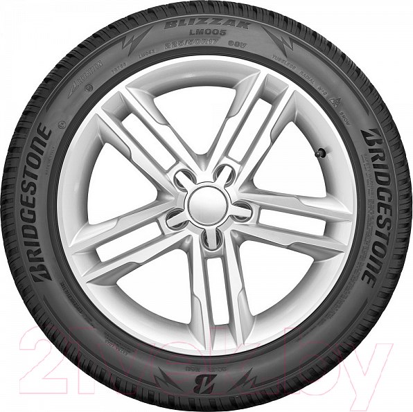 Изображение товара Зимняя шина Bridgestone Blizzak LM005 315/35R20 110V