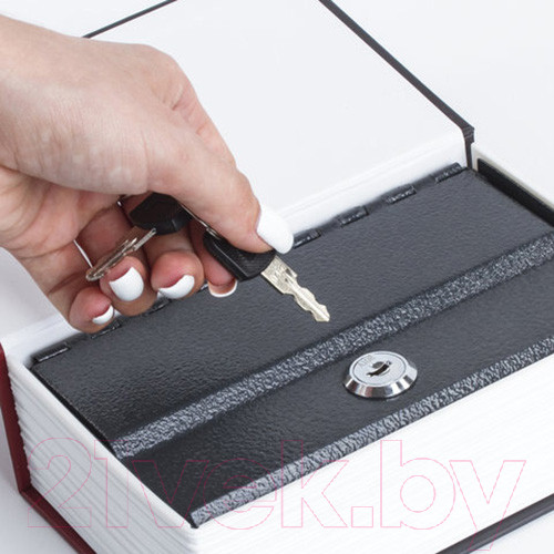 Изображение товара Книга-сейф Brauberg К. Маркс Капитал / 291049