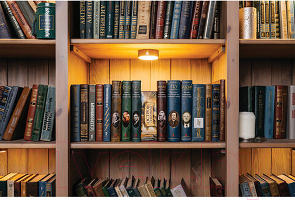 Изображение товара Книга-сейф Brauberg Остров сокровищ / 291050