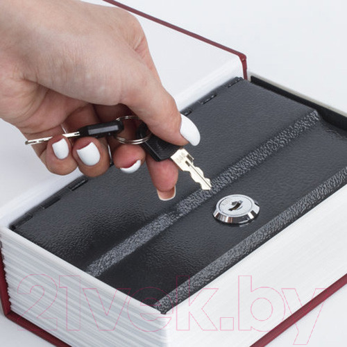 Изображение товара Книга-сейф Brauberg Остров сокровищ / 291050