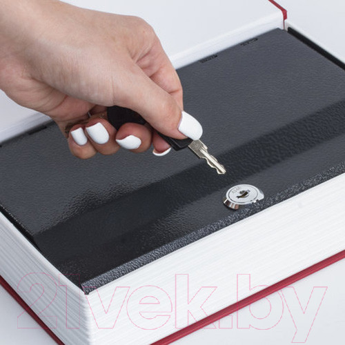 Изображение товара Книга-сейф Brauberg Ревизор / 291052