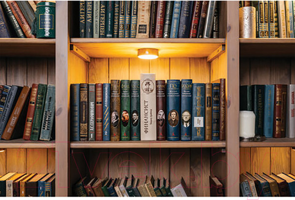 Изображение товара Книга-сейф Brauberg Финансист / 291057