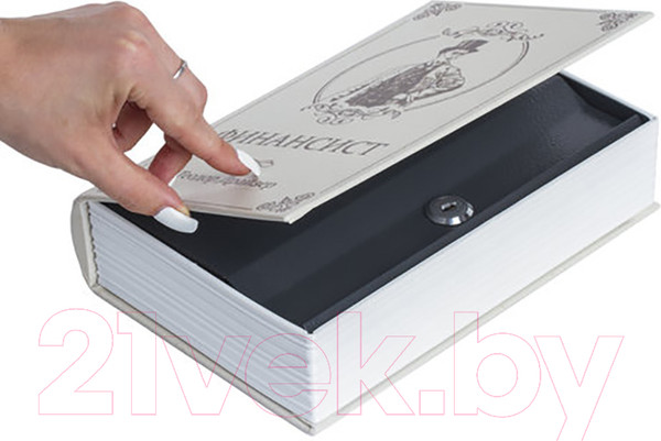 Изображение товара Книга-сейф Brauberg Финансист / 291057