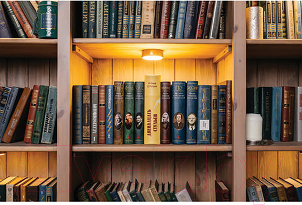 Изображение товара Книга-сейф Brauberg 12 стульев / 291058