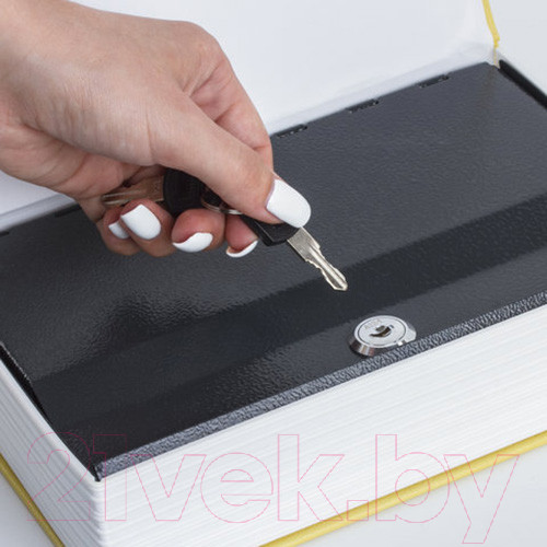 Изображение товара Книга-сейф Brauberg 12 стульев / 291058