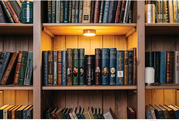 Изображение товара Книга-сейф Brauberg Приключения Шерлока Холмса / 291056