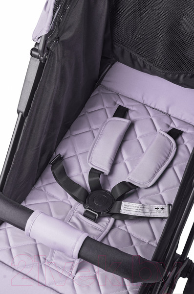 Изображение товара Детская прогулочная коляска Farfello Easy Go Comfort / EGC (светло-серый)