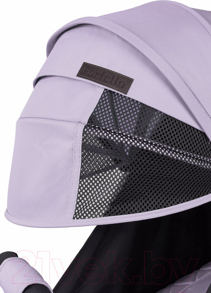 Изображение товара Детская прогулочная коляска Farfello Easy Go Comfort / EGC (светло-серый)