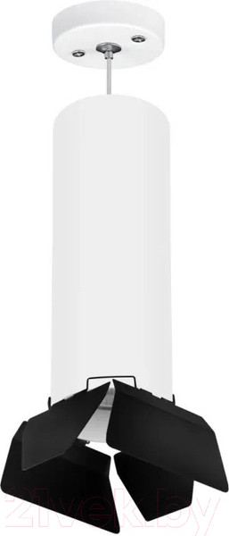 Изображение товара Потолочный светильник Lightstar Rullo RP6496487