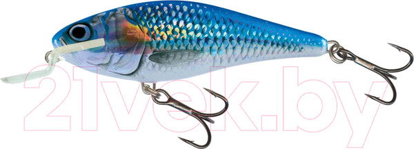 Изображение товара Воблер Salmo Executor / EX-120-SR-HSH QEX018