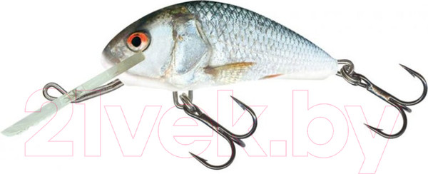 Изображение товара Воблер Salmo Hornet / HT-040-FL-RDE QHT032