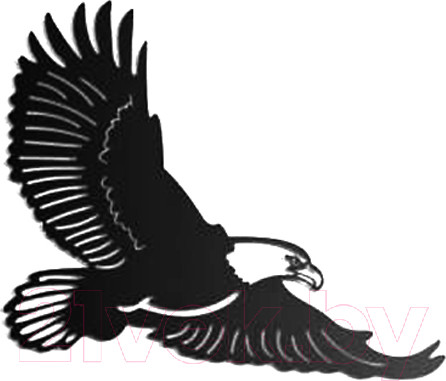 Изображение товара Декор настенный Arthata Летящий орел 40x50-B / 090-1 (черный)
