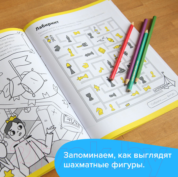 Изображение товара Рабочая тетрадь Реши-Пиши Игровое обучение. Основы шахмат и логика. Часть 1 / УМ603