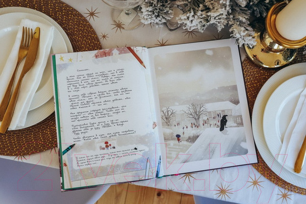 Изображение товара Комикс МИФ Дневники Вишенки. От первого снега до Персеид. Том 5 (Шамблен Ж., Нейре О.)